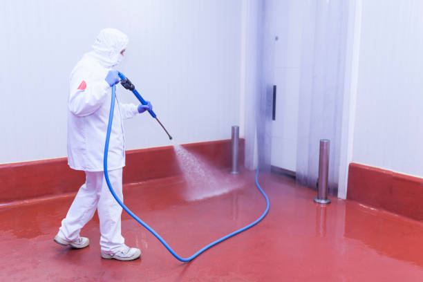 Best Dumpster Area Cleaning  in Lake Nacimiento, CA